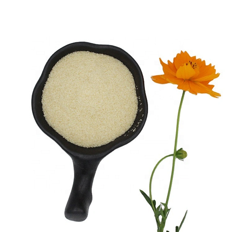 Food Grade Hot Sale Gelatin Powder For Ice Cream